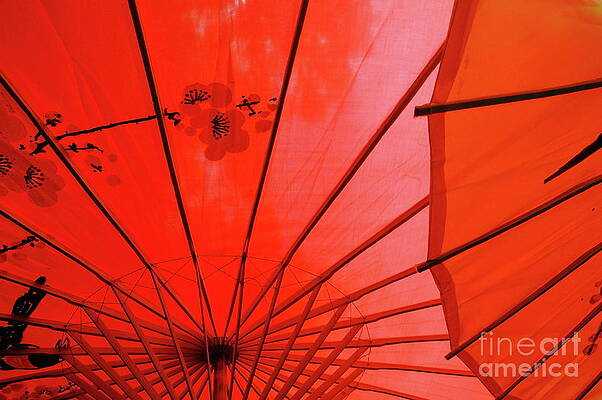 Close Up Photograph - Traditional Chinese Red Umbrellas by Sami Sarkis Photography