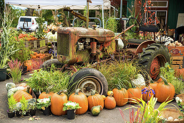 September Photograph - Harvest Of A Lynden Tractor by Tom Cochran