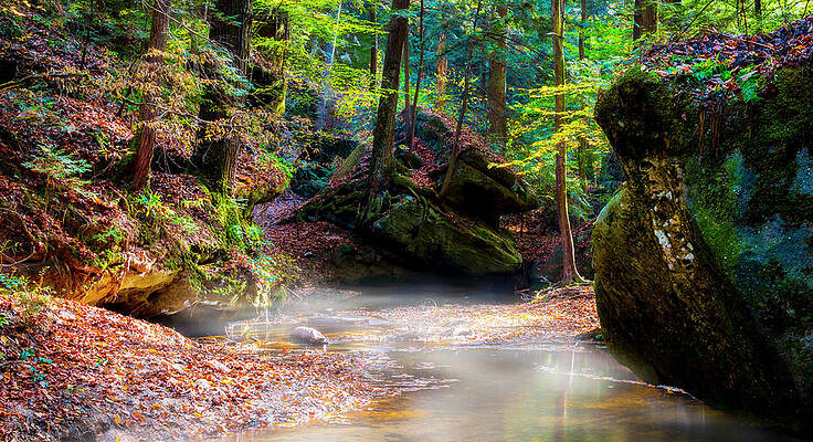 Autumn Stream in a Sunlit Forest Photograph
