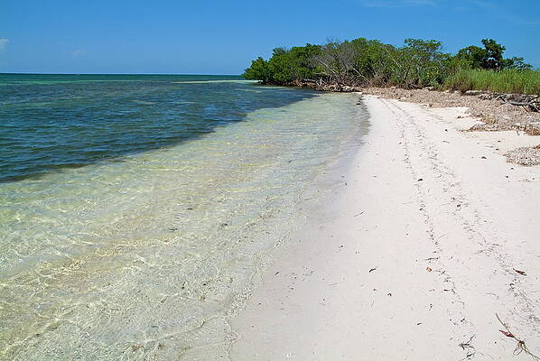 Beach Wall Art featuring the photograph Transparent Water And White Sandy Beach by Sami Sarkis Photography