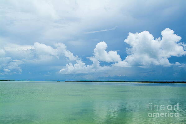 Cloud Photograph - Transparent Waters With Mangrove Growth In The Background by Sami Sarkis Photography