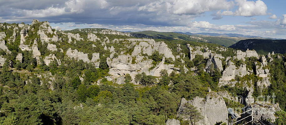 Tree Wall Art featuring the photograph Tree Covered Rock Formations Of Chaos De Montpellier Le Vieux by Sami Sarkis Photography