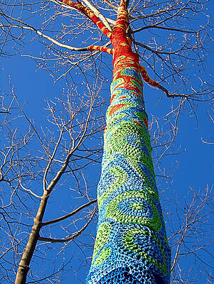 Photograph - Tree Crochet I I by Robert Newman