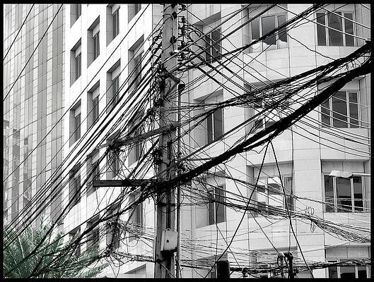 Wall Art featuring the photograph Tree Of Progress by Steven Robiner
