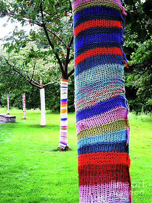 Color Wall Art featuring the photograph Tree Trunks by Rick Locke - Out of the Corner of My Eye