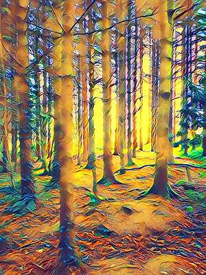 Wall Art featuring the photograph Trees On Fire by Mark Callanan