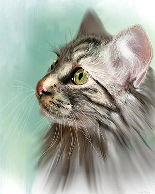 Trixie the Maine Coon Cat by Angela Murdock