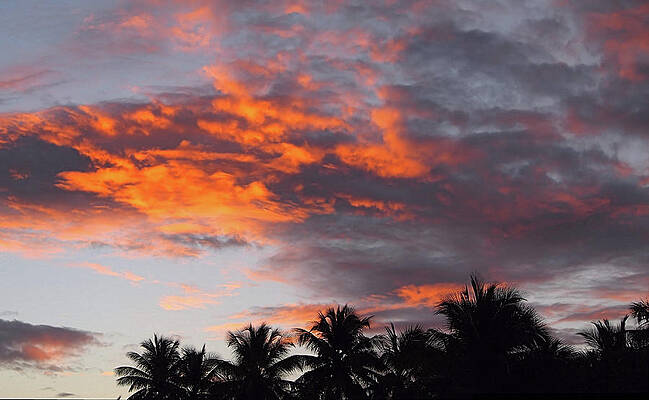 Wall Art featuring the photograph Tropical Dawn I I I by Robert Newman