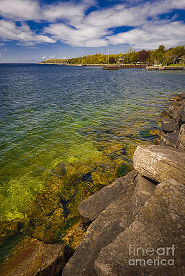Lakeside with Vibrant Waters Wall Art