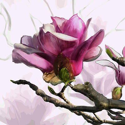 Blossom Digital Art - Tulip Trees by Gina Harrison