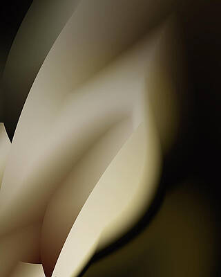 Modern Wall Art featuring the digital art Tulip by Vic Eberly