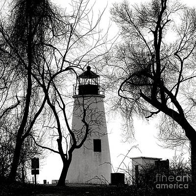 Lighthouse Through Winter Trees Photograph