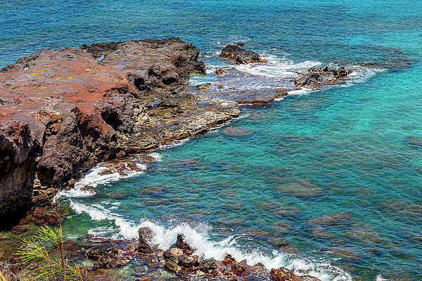 Green Wall Art featuring the photograph Turquoise by Kelley King