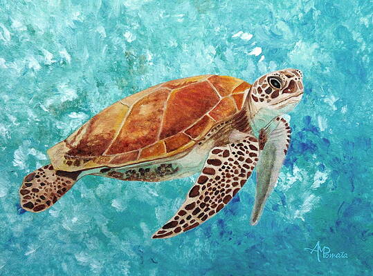 Sea Turtle in Blue Waters Wall Art