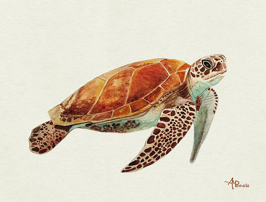 Detailed Sea Turtle Representation Wall Art