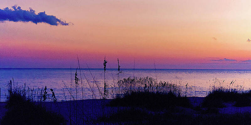 Wall Art featuring the digital art Twilight by Gina Harrison