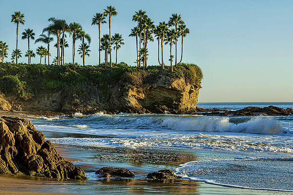 Serene Coastal Landscape with Palm Trees Photograph