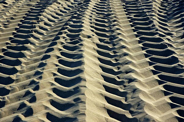 Beach Wall Art featuring the photograph Tyre Tracks In The Sand by Sami Sarkis Photography