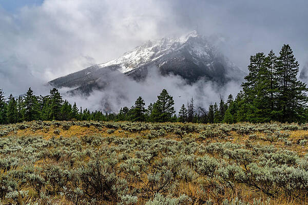 Wyoming Wall Art featuring the photograph Untitled by Jeff Stoddart