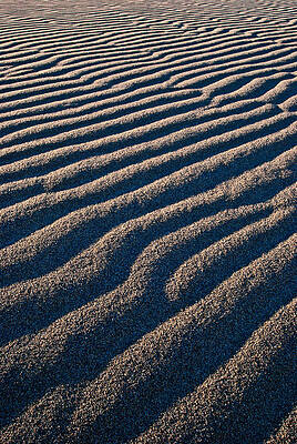 Photograph - Untouched by Matt Halvorson