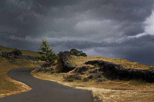 Sea Photograph - Upcountry Maui by Waterdancer