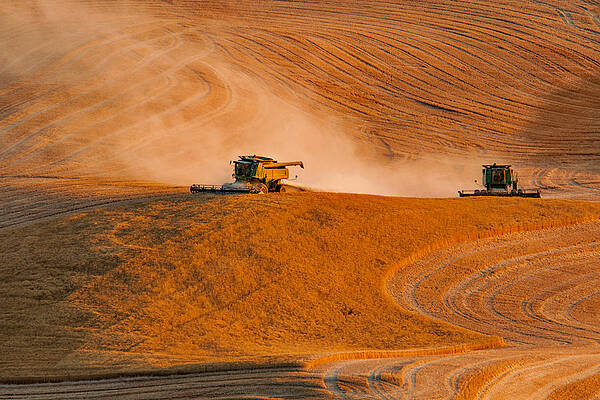 Summer Photograph - Uphill by Mary Jo Allen
