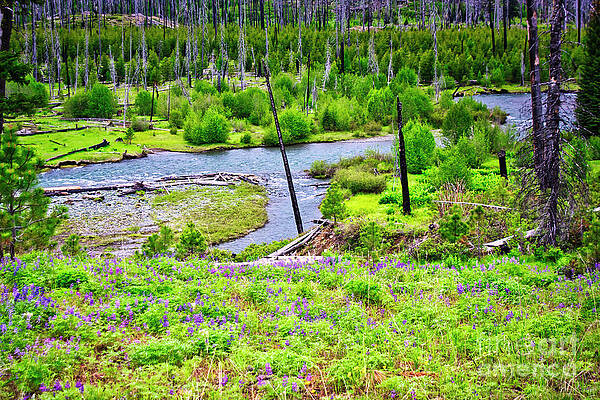 Oregon Photograph - Upper Imnaha River From The Trail To The Blue Hole by Bruce Block