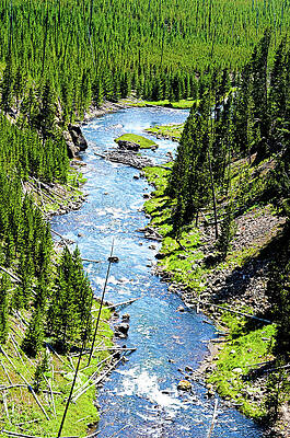 Water Wall Art featuring the photograph Vibrant River by La Dolce Vita