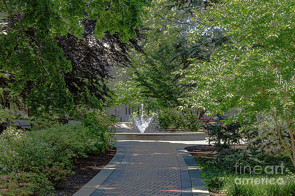 Villanova University Photograph - Villanova Fountain by William Norton