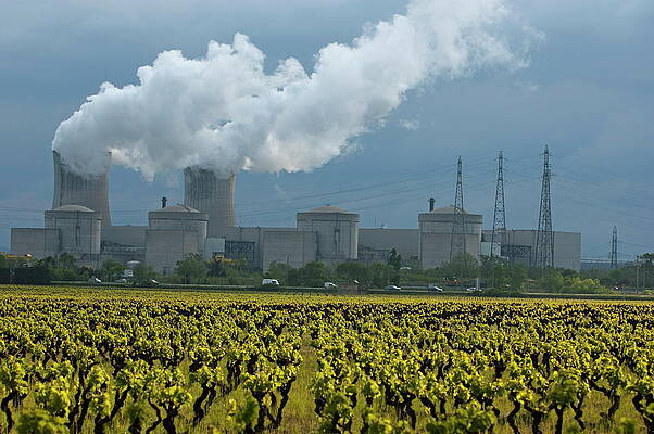 Power Plant Behind Vineyard Photograph