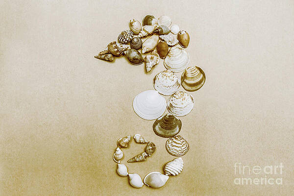 Wall Art featuring the photograph Vintage Seahorse Made Of Sea Shells by Jorgo Photography