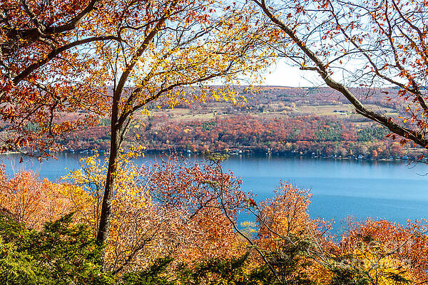 Finger Lake Photograph - Vista From Garrett Chapel by William Norton
