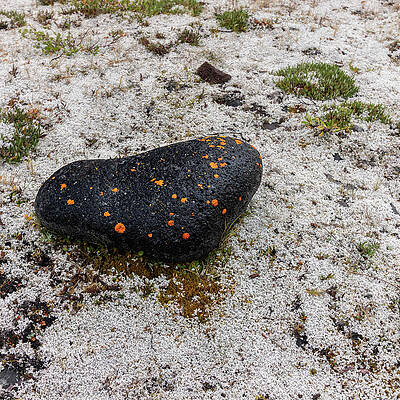 Wall Art featuring the photograph Volcano Rock by Fred Denner