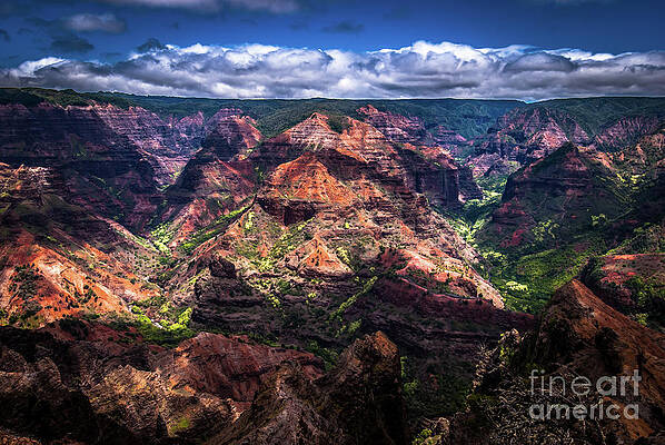 Wall Art featuring the photograph Waimea Canyon On Kauai by Blake Webster