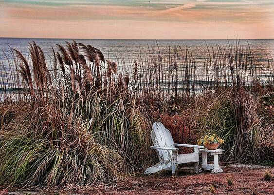 Photograph - Waiting For Spring by Marshall Hurley