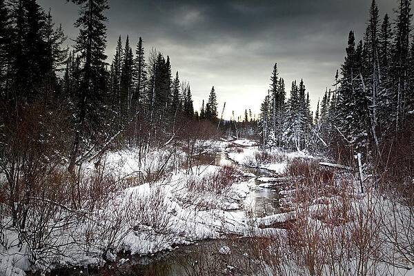 Wall Art featuring the photograph Waiting For Winter by Alberto Audisio