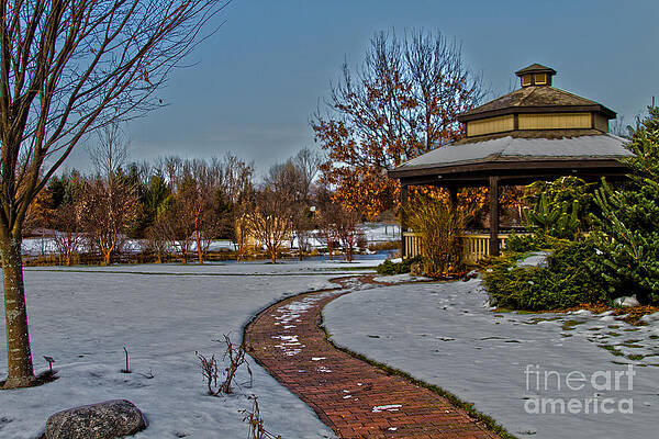 Winter Photograph - Walk In The Park by William Norton