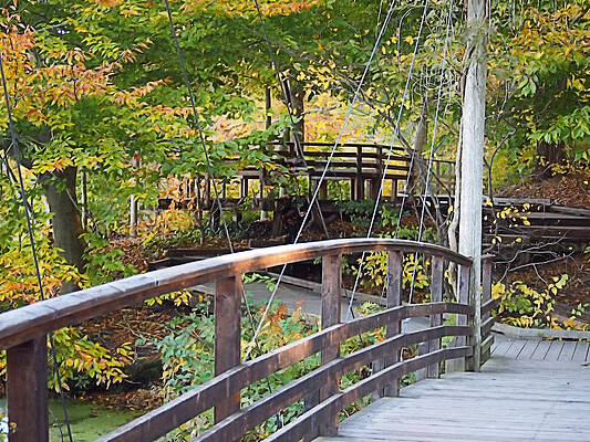 Wall Art featuring the photograph Walking Bridge by Robert Newman