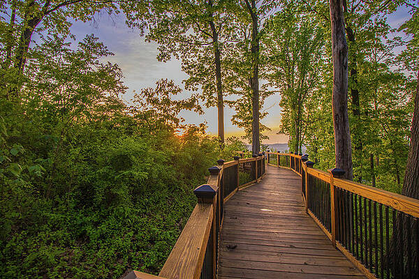 Wall Art featuring the photograph Walkway At Fort Boreman by Jonny D