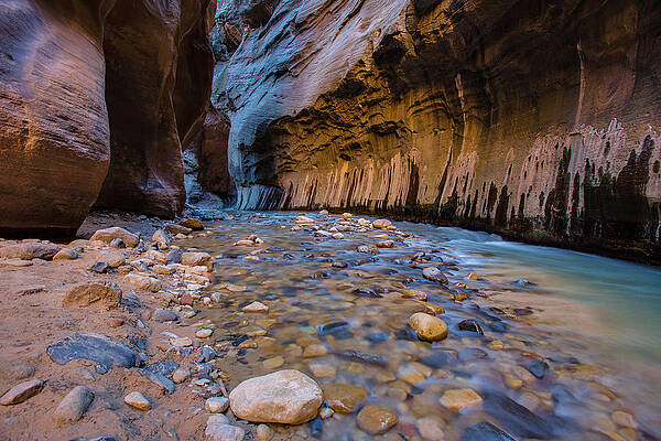 Wall Art featuring the photograph Wall Street by Adam Mateo Fierro