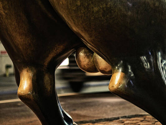 Wall Art featuring the photograph Wall Street By The Balls by Rona Black