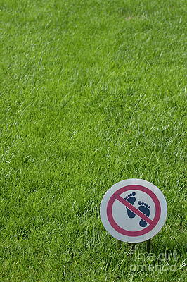 City Photograph - Warning Sign On A Grassy Lawn by Sami Sarkis Photography