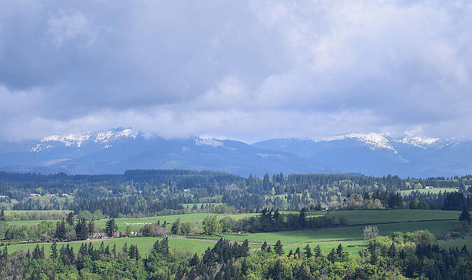 Farm Photograph - Washington Farms On The Columbia by Tom Cochran