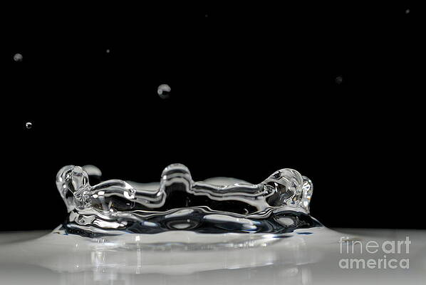 Wall Art featuring the photograph Water Drop Splashing by Sami Sarkis Photography