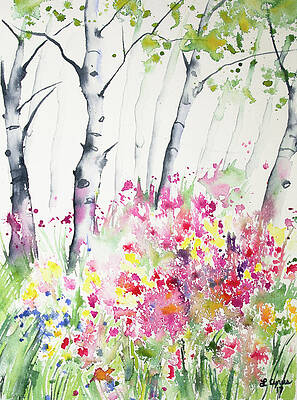 Painting - Watercolor - Birch And Wildflowers by Cascade Colors