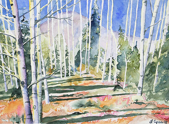 Painting - Watercolor - Colorado Aspen And Mountain Landscape by Cascade Colors