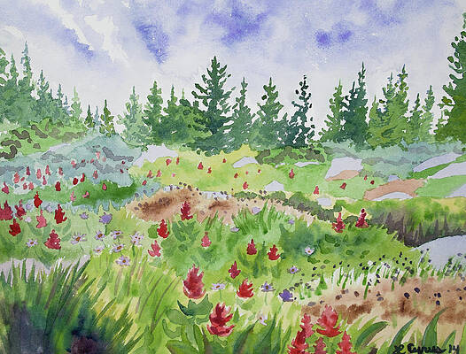 Painting - Watercolor - Colorado Flower And Tree Landscape by Cascade Colors