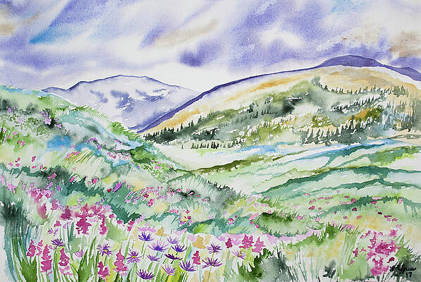 Wilderness Painting - Watercolor - Colorado Hunter Fryingpan Wilderness Summer Landscape by Cascade Colors