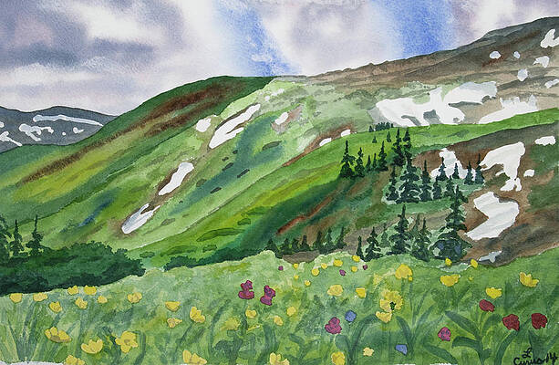 Painting - Watercolor - Colorado Mountain And Flower Landscape by Cascade Colors