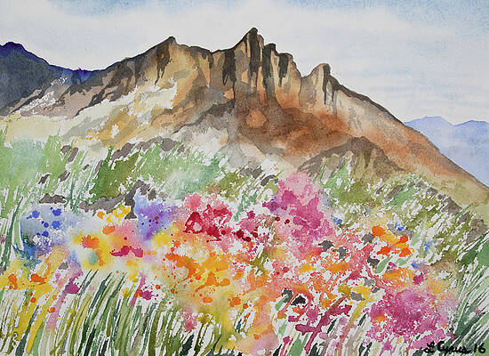 Rocky Mountain National Park Painting - Watercolor - Colorado Rocky Mountains And Alpine Wildflowers by Cascade Colors
